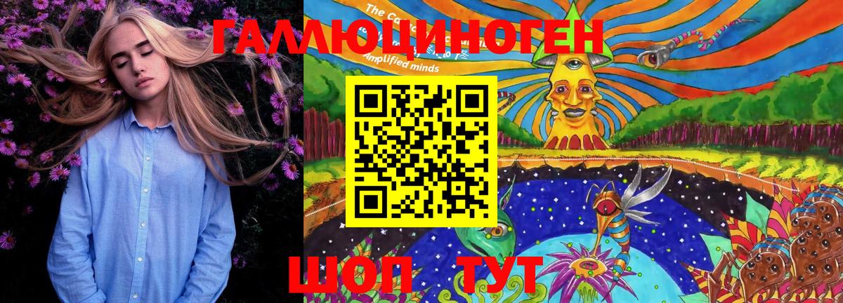 Псилоцибиновые грибы Psilocybe  Псилоцибиновые грибы ЛСД  Вход с VPN  Котлас 